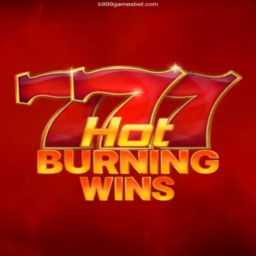 Discover the Thrills of HotBurningWins: A Leading Slot Game Experience