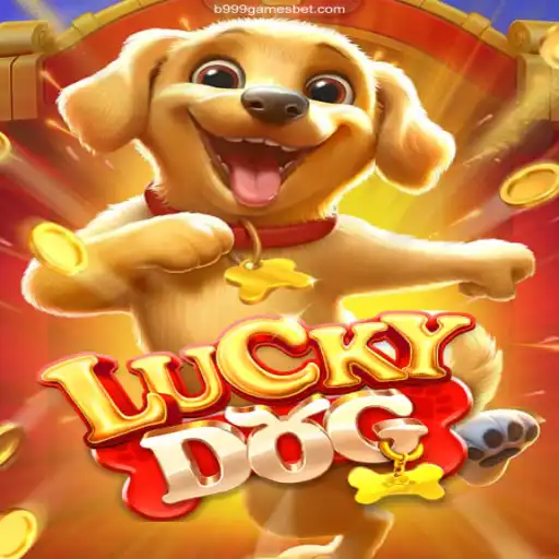Exploring LuckyDog: The Thrilling Adventure in Brazilian Gaming